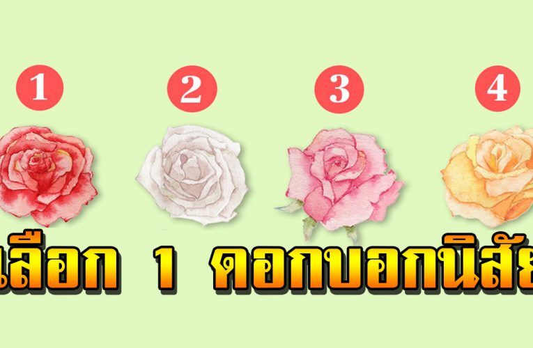 กุหลาบ บอกถึงนิ สั ยความเป็นตัวตนคุณได้
