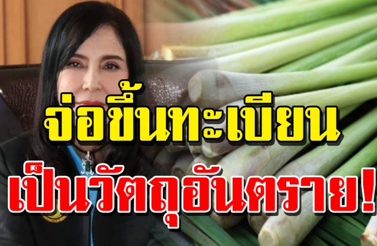 รัฐมนตรีช่วยว่าการ มนัญญา จ่อขึ้นทะเบียน ตะไคร้ เป็นวัตถุอันตราย