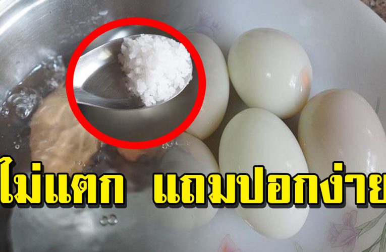 ต้มไข่ ยังไง ไม่ให้ติดเปลือก