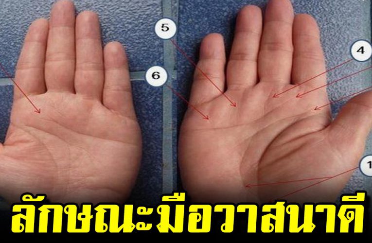 ลักษณะมือวาสนาดี อนาคตเศรษฐี ด ว งจะร ว ย