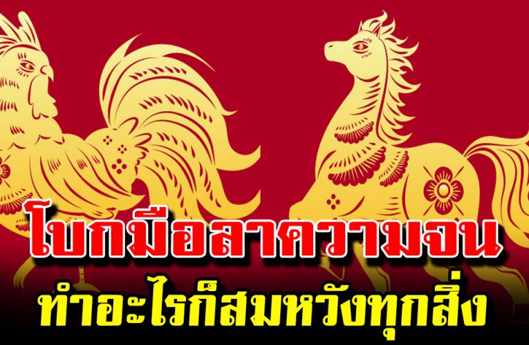 4 ปี นั ก ษั ตร จา กนี้ไป จะได้รั บทรัพย์ หนั กมา ก