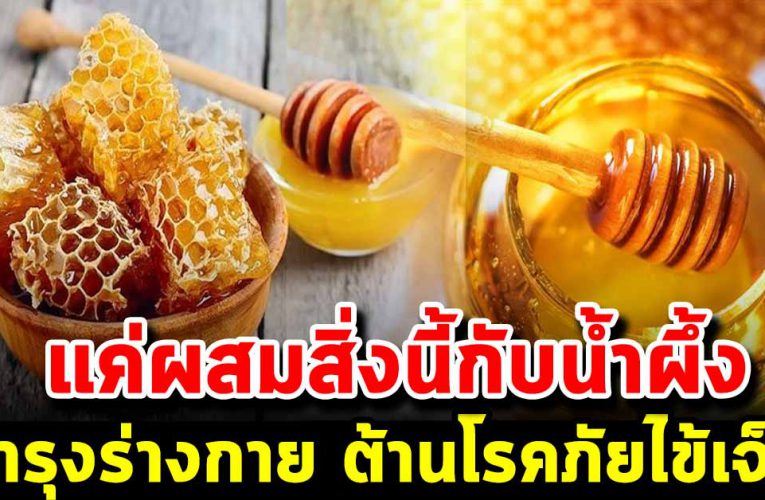 หลาย ๆ ค นคงไม่รู้ว่าน้ำผึ้ง มีประ โ ย ช น์ มาหาศาล และมีสรรพคุณเยอะมาก