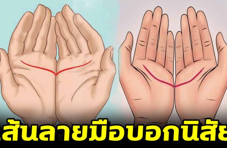 เส้นลายมือ เพียงแค่เส้นหัวใจเส้นเดียว ก็สามารถทำนายนิสัยได้