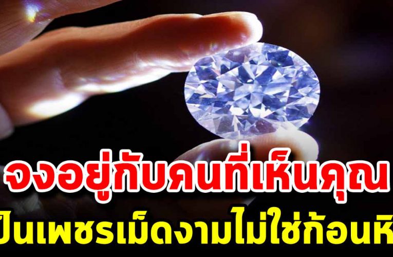 อยู่กับคนที่เห็นคุณเป็นเพชรน้ำงาม ไม่ใช่เห็นคุณเป็นก้อนหินก้อนหนึ่ง