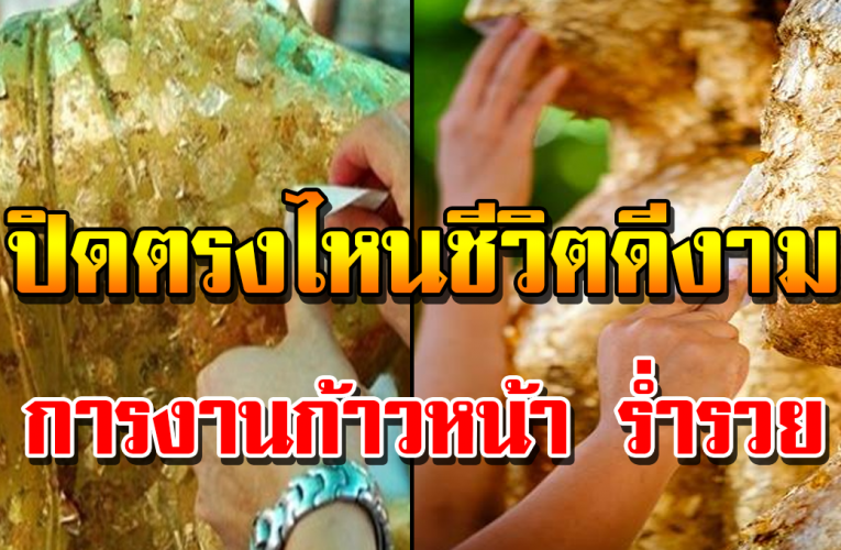 ปิ ด ท อ ง พ ระ ตำแหน่งไหนช่วยส่ ง ผลให้ ร่ำร วย