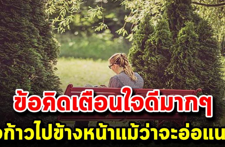 จงทำตัวเองให้เข้มแข็ง ต่อให้ถูกเหยียบย่ำสักเท่าไหร่ แต่ก็ยังฮึดสู้ และเติบโต