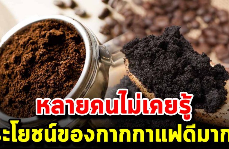 อย่าพึ่งทิ้ง 7 ประโยชน์ของกากกาแฟที่คุณยังไม่รู้