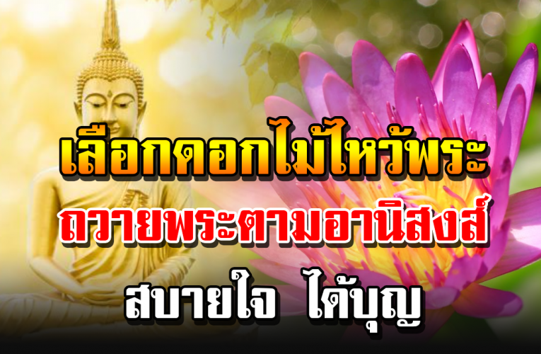 อานิสงส์จะได้มาดั่งใจ แ ค่เลือกดอกไม้ถวายพระตามอานิสงส์