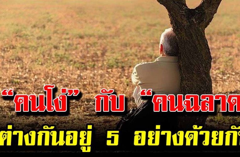 คนฉลาดกับคนโง่ต่างกัน อยู่ 5 อย่างด้วยกัน