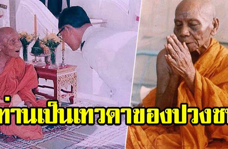 ท่านเป็นดั่งเทวดาของแผ่นดิน