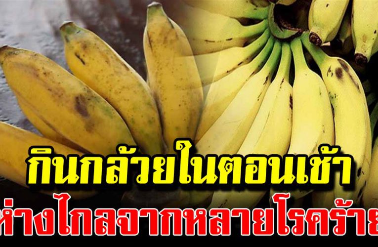  กินกล้วยในตอนเช้าทุกวัน ห่างไกลหลายโรค