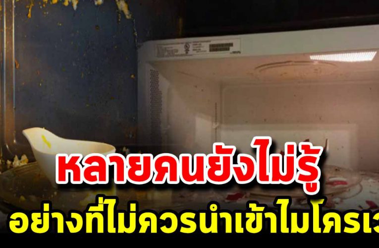 หล า ยคนยังไม่รู้ของ 6 อ ย่ าง ที่ไม่ควรนำเข้าไมโครเวฟ