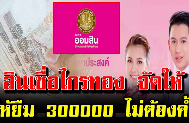 ออมสินให้ยืม 3 แสน ได้ทุกอาชีพ ไม่ต้องค้ำประกัน