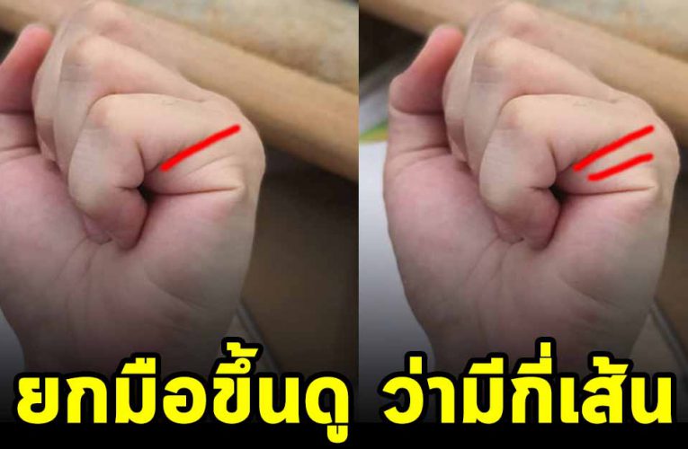 ยกมือขึ้นดู ว่ามีกี่เส้น ห ม อ ท่าน ทั ก แม่นมาก