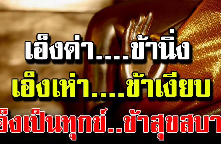 แนะนำ ถ้าไป ไหนไม่รู้จักให้ อภัย ไม่รู้จักมีความเม ตตา ต่อเพื่อน มนุษย์