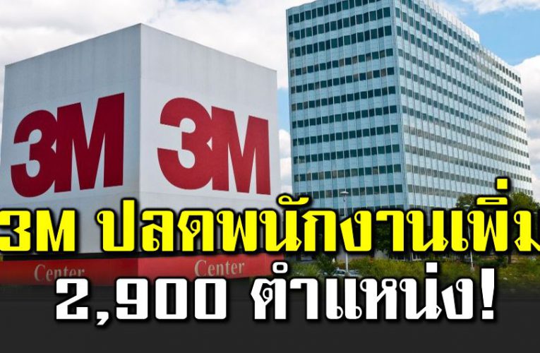 3M หาทางรอด ปลดพนักงานเพิ่ม 2,900 ตำแหน่ง