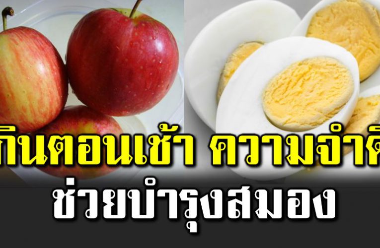 8 อาหารที่ควรกินตอนเช้า ช่วยบำรุงสม อง