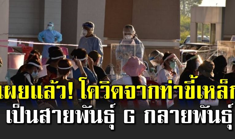 กรมควบคุมโ รค เผย โควิ ดจากท่าขี้เหล็ก เป็นสายพั นธุ์ G 