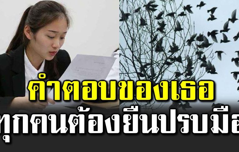 มีนก 100 ตัว อยู่บนต้นไม้ ทำอย่างไรถึงจะจั บได้หมด