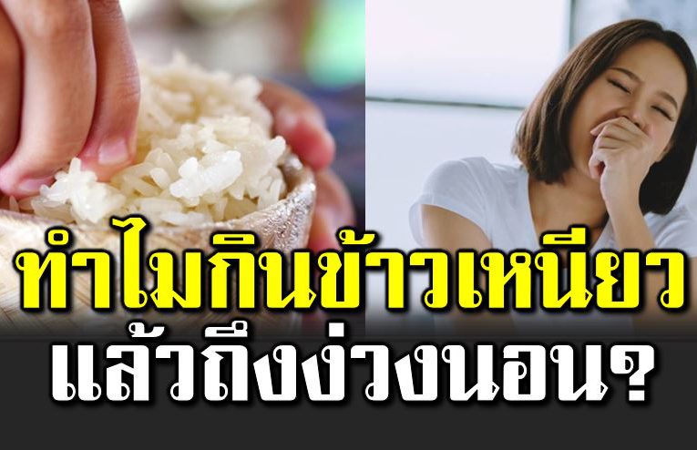ไขข้ อสงสัย ทำไมกินข้าวเหนียวแล้วง่วงนอน