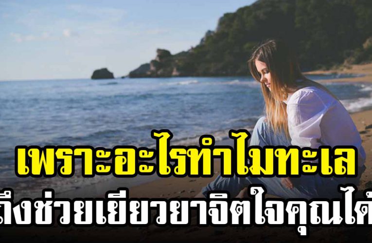 เพราะอะไร ทำไมทะเลถึงช่วยเยียวยาจิ ต ใ จคุ ณได้
