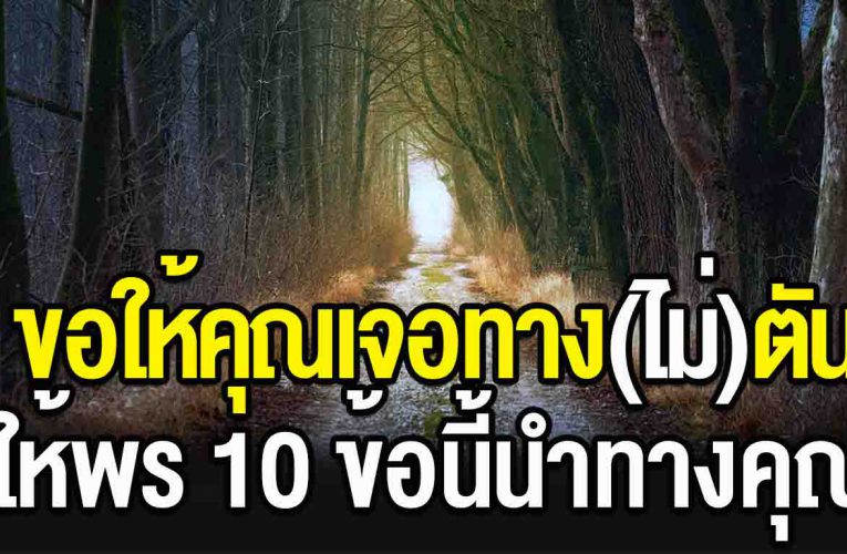 ไม่ว่าคุณจะเจอกับอะไรอยู่ ขอให้พร 10 ข้อนี้ จงนำทางคุณ