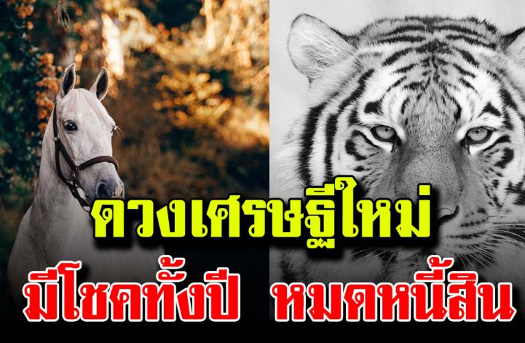 ด วงเศ รษ ฐีให ม่ 5 นักษั ตร จะหม ดหนี้สิน มีโชคลาภทั้งปี