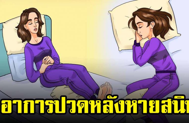 นอนถูกท่า อาการ ป ว ด หลัง หายสนิท นอนหลับสบายทุกคืน