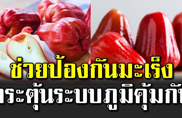 ชมพู่ ผลไม้ป้องกันมะเร็ ง กระตุ้ นระบบภูมิคุ้มกัน