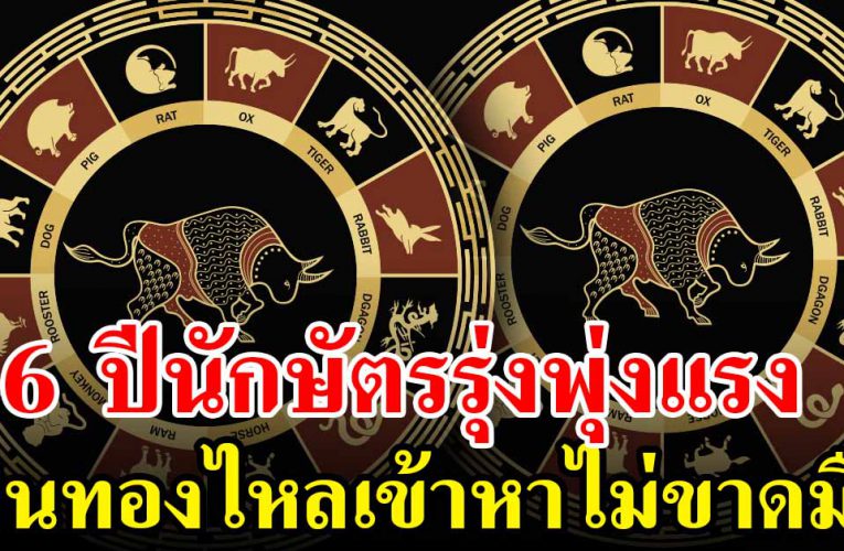 6 ปีนักษัตรรุ่งพุ่งแรง เงินทองไหลเทมา