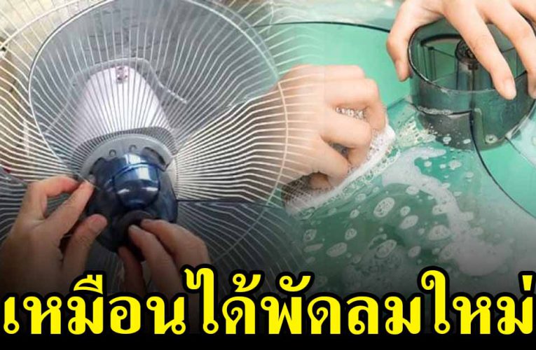 วิธีทำความสะอาดพัดลม ให้กลับมาเหมือนใหม่