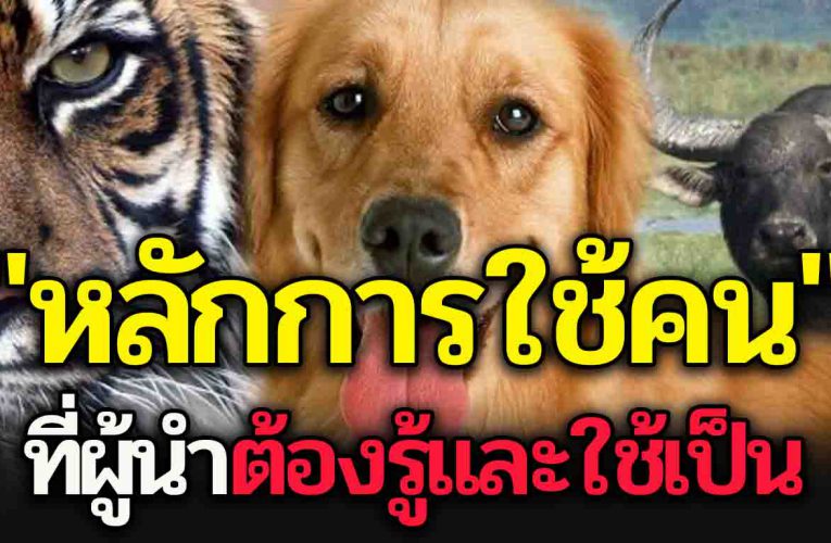 การเลือกใช้คน ที่ผู้นำต้องเข้าใจ และนำไปใช้ให้เป็น