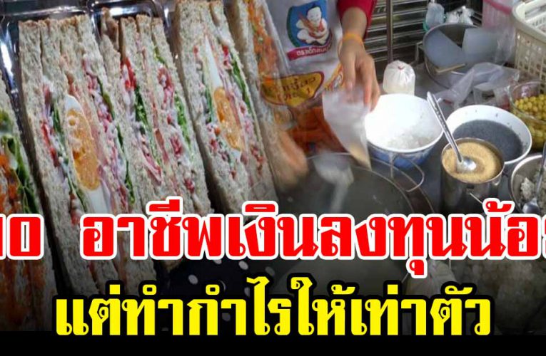 อาชีพ รายได้ดีลงทุน 3,000 บาท ขายอะไรดี