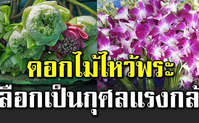 ดอกไม้ไหว้พระ เลือกให้เป็น กุศลแ รงกล้า