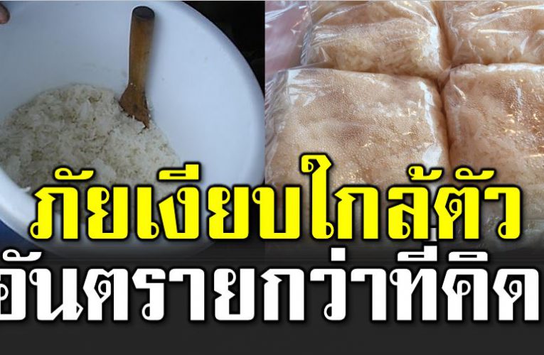 ใส่ข้าวเหนียวไว้ในกระติกน้ำ อันตร ายกว่าที่คิ ด