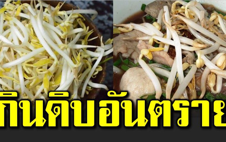 หมอยืนยั น กินถั่วงอกดิ บอั นตร ายถึ งชีวิต
