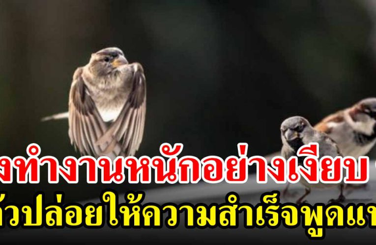 จงทำงานหนักอย่างเงียบๆ แล้วปล่อยให้ความสำเร็จพูดแทน