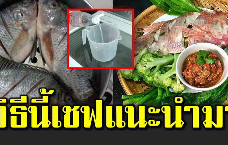 เคล็ ดลั บแก้กลิ่นคา วปลาที่เชฟแนะนำ