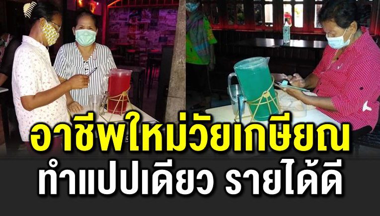 อาชีพใหม่ของวัยเกษียณ ทำแค่แปปเดียว แถมรายได้ดี 