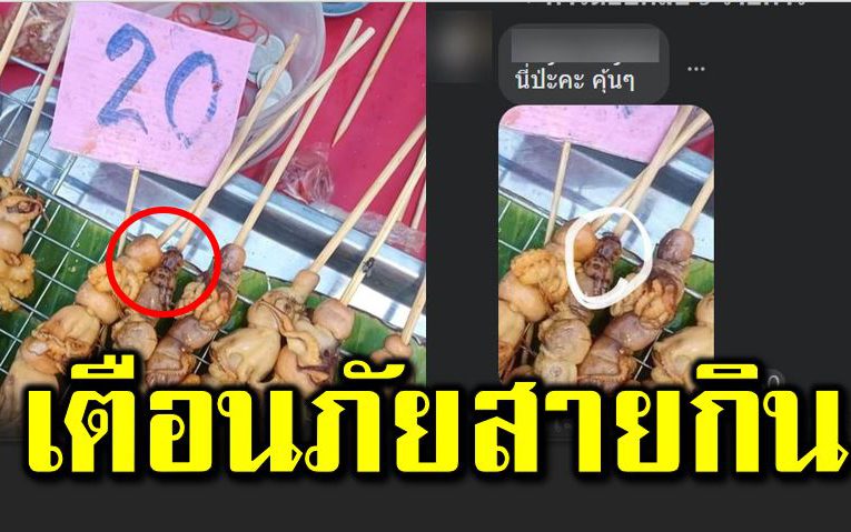เตือ นภั ยสายกิน หมึกเสีย บไม้ สังเกตดี ๆ ก่อนกิน