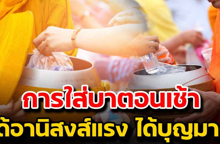 การใส่บาตรทุกวัน ย่อมได้รับอานิสงส์ ให้เป็นที่รักของทุกคน