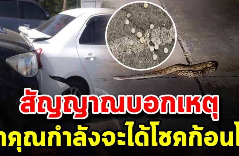 5 สัญญาณ บอกเหตุ จะได้รับทรัพย์ก้อนโต