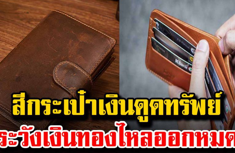 สีกระเป๋าเ งิ น ดูดทรัพย์ ใครใช้รีบเช็กเลย