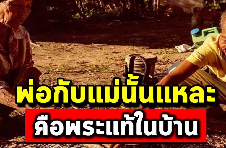 อยากให้ลูกๆทุกคนได้อ่าน พ่อกับแม่ นั่นแหละคือพระแท้ ในบ้าน