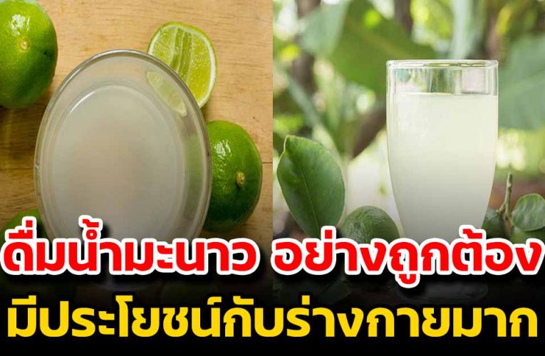 ดื่มน้ำมะนาว อย่างถูกต้อง ได้ประโยชน์และสุขภาพร่างกายดี