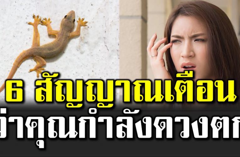 6 สัญญ าณเตือ นว่าคุณกำลังดวงตก