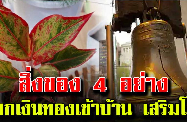 สิ่งของ 4 อย่างเรียกเงินทองเข้าาบ้าน เสริมโชค