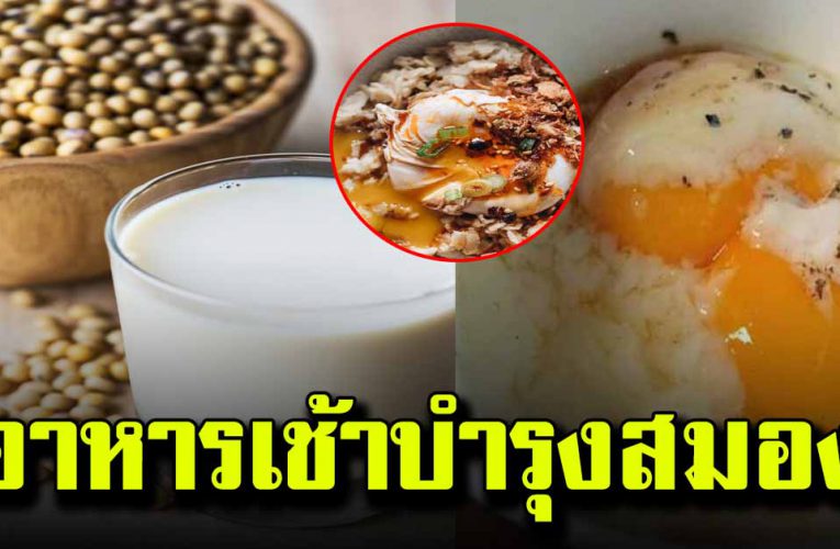 อาหารเช้า บำรุง ส ม อ ง  หากินง่าย แถมไ ม่ อ้ วน