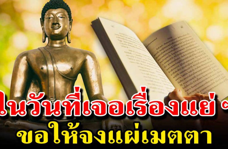 ชีวิ ตในวัน ที่แ ย่ ขอให้ท่านแผ่เมต ต า 