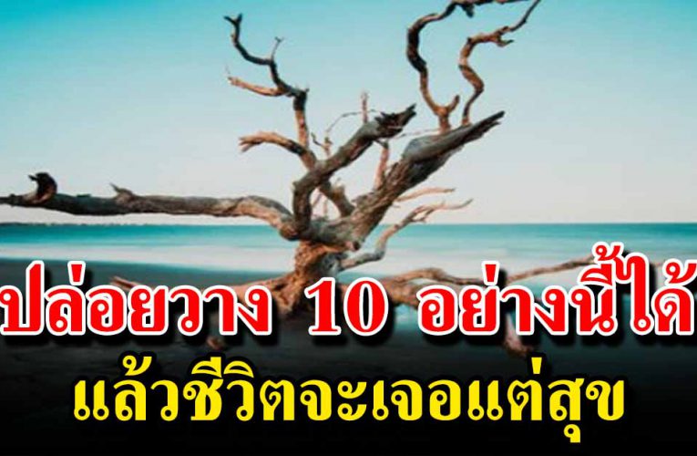 อย่ าไปยึดติดให้มาก แล้วชีวิตก็จะเจอแต่ความสุข